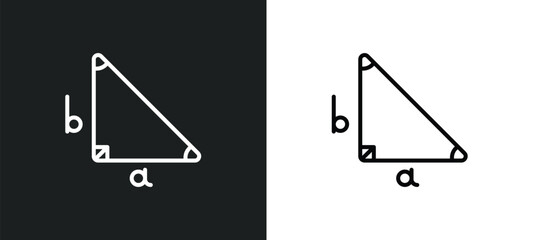 Poster - right triangle line icon in white and black colors. right triangle flat vector icon from right triangle collection for web, mobile apps and ui.