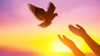 canvas print picture - Silhouette pigeon return coming to hands in air vibrant sunlight sunset sunrise background. Freedom making merit concept. Nature animal people hope pray holy faith. International Day of Peace theme.