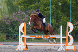 Young woman riding horseback jumping over the hurdle on showjumping course in equestrian sports event