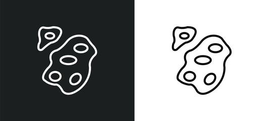 Poster - asteroids line icon in white and black colors. asteroids flat vector icon from asteroids collection for web, mobile apps and ui.