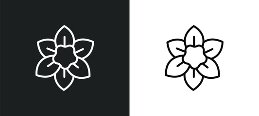 Wall Mural - narcissus line icon in white and black colors. narcissus flat vector icon from narcissus collection 