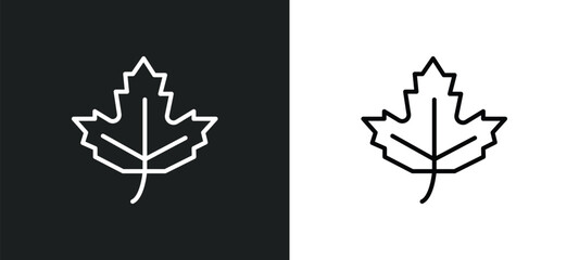 Aufkleber - maple line icon in white and black colors. maple flat vector icon from maple collection for web, mobile apps and ui.