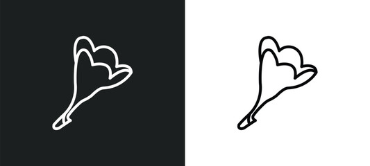 Poster - freesia line icon in white and black colors. freesia flat vector icon from freesia collection for web, mobile apps and ui.