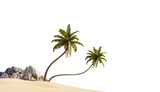 Fototapeta Perspektywa 3d - Coconut tree in beach on white background with clipping path, 3D illustration rendering