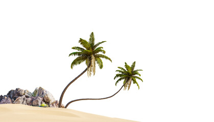 Poster - Coconut tree in beach on white background with clipping path, 3D illustration rendering