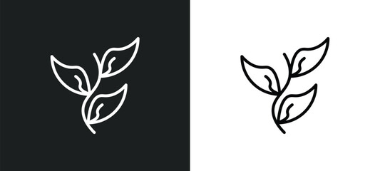 Poster - herb line icon in white and black colors. herb flat vector icon from herb collection for web, mobile apps and ui.