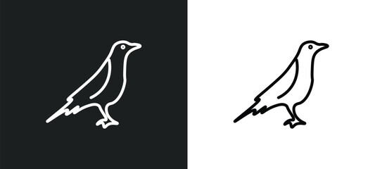  raven line icon in white and black colors. raven flat vector icon from raven collection for web, mobile apps and ui.