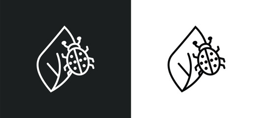 Wall Mural - bug on leaf line icon in white and black colors. bug on leaf flat vector icon from bug on leaf colle