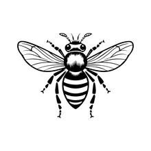 Bee Silhouette Illustration