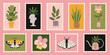 Set of cute hand-drawn post stamps with natural plant elements, attributes like Houseplants, bottled flowers, butterflies, moth.  Urban Cozy home. Trendy modern vector illustartions in Cartoon style