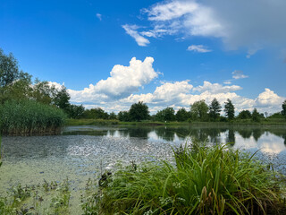 Wall Mural - A beautiful small lake in the countryside. Sunny day with clouds in the sky. Perfect place for relaxing