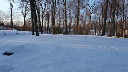 Wall Mural - garden backyard covered with snow after the snowstorm in February