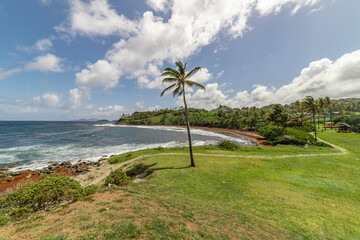 Wall Mural - Saint Vincent and the Grenadines, Rawacou Recreational Park. 