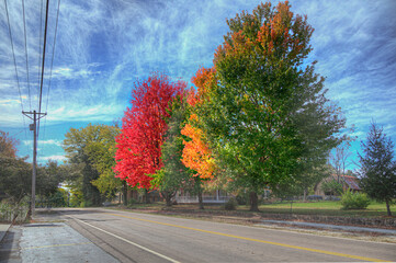 Take Your Pick.  A series of colorful trees in prime autumn foliage along Highway 21, in Caledonia Missouri 