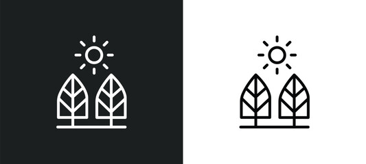 Poster - daytime line icon in white and black colors. daytime flat vector icon from daytime collection for web, mobile apps and ui.