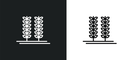 Poster - crops line icon in white and black colors. crops flat vector icon from crops collection for web, mobile apps and ui.