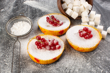 Wall Mural - front close view delicious cranberry cakes baked and yummy with red cranberries on top sugar pieces powder grey background cake biscuit sugar sweet