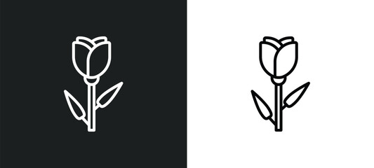 Poster - tulip line icon in white and black colors. tulip flat vector icon from tulip collection for web, mobile apps and ui.