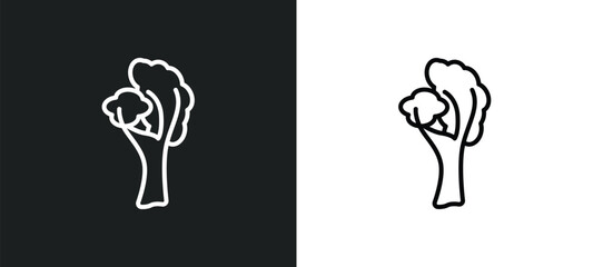 Poster - yellow birch tree line icon in white and black colors. yellow birch tree flat vector icon from yellow birch tree collection for web, mobile apps and ui.