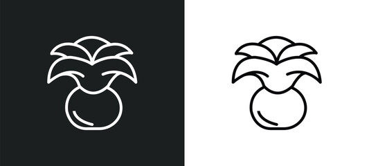 Poster - agave line icon in white and black colors. agave flat vector icon from agave collection for web, mobile apps and ui.