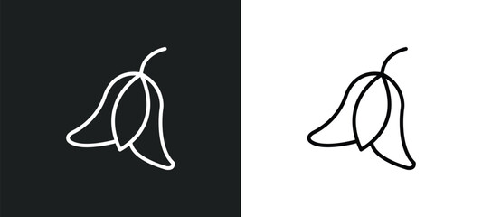 Poster - bluebell line icon in white and black colors. bluebell flat vector icon from bluebell collection for