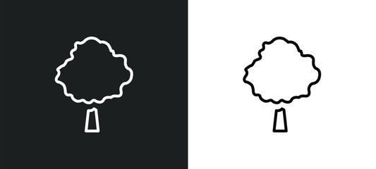 Poster - beech line icon in white and black colors. beech flat vector icon from beech collection for web, mobile apps and ui.