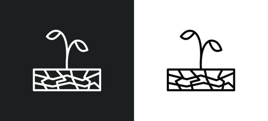 plant on drought line icon in white and black colors. plant on drought flat vector icon from plant on drought collection for web, mobile apps and ui.