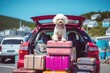 White poodle sitting on a car trunk with backpacks. AI generative art