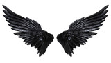 Fototapeta Pokój dzieciecy - Pair of black realistic wings on transparent background