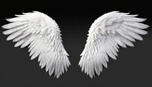 Isolated White Angel Wing Black Background Realistic