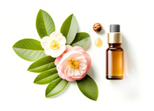 Camellia Essential Oil. Group Of Amber Bottles And White Or Pink Camellia Flower And Leaves