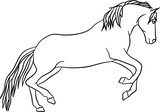 Fototapeta  - Jump Horse Outline Illustration Vector