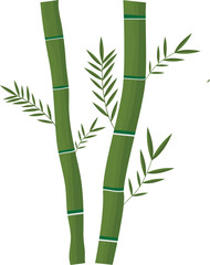  bamboo illustration