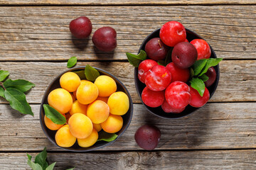 Wall Mural - Colorful plums