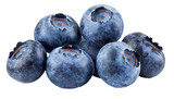 Fototapeta  - Blueberry, isolated on white background