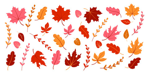 large set of leaves and branches in autumn colors. pink, brown and yellow