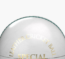 Wall Mural - White Cricket Ball