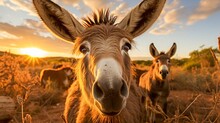 Expressive Donkey Portrait. A Look That Touches Hearts. This Image Is Perfect For Projects That Want To Convey Authenticity, Closeness To Nature Or Animal Welfare Messages. Generative AI