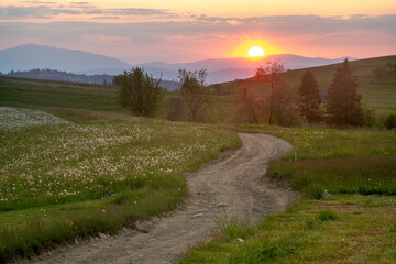 Wall Mural - a dirt mountain road going straight into the sunset