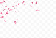 Pink Petal Blur Vector Transparent Background.