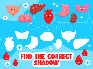 Poster - Find the correct shadow of cartoon body organ characters. Shadow match puzzle, similarity search game vector worksheet with uterus, brain, liver, heart and stomach, kidney, thyroid cute personages