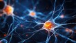 © lin - Nervous system, brain central nervous cells, neuroscience