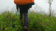 The Camera Follows The Feet Of A Hiker Walking Down A Narrow Trail. Green Grass On The Side. Male Hikers With Large Backpacks Move Along The Trail In The Fog