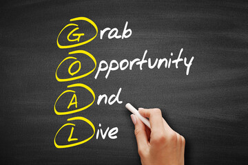 Wall Mural - GOAL - Grab Opportunity And Live acronym, business concept background