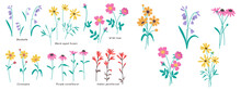 This Flower Clip Art Set Includes Hand-drawn Wildflower Elements And Bouquets. Nature-inspired Minimalistic And Simple Bundle. Vector Illustration.

