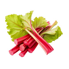 Rhubarb Isolated on Transparent Background Raw Food Illustration