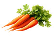 carrots. Transparent background. generative AI