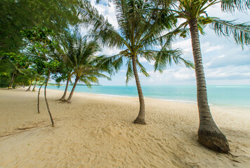 Canvas Print - Tropical beach of Thailand