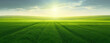 Wide panoramic view of green agricultural fields lit by the sun over horizon, minimalism natural background