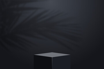 Leinwandbilder - Realistic dark platform with shadow overlay of palm tree branch. Stage with empty pedestal and transparent overlay shadow effect from tropical palm leaves. Cubic shape 3d podium. Vector.